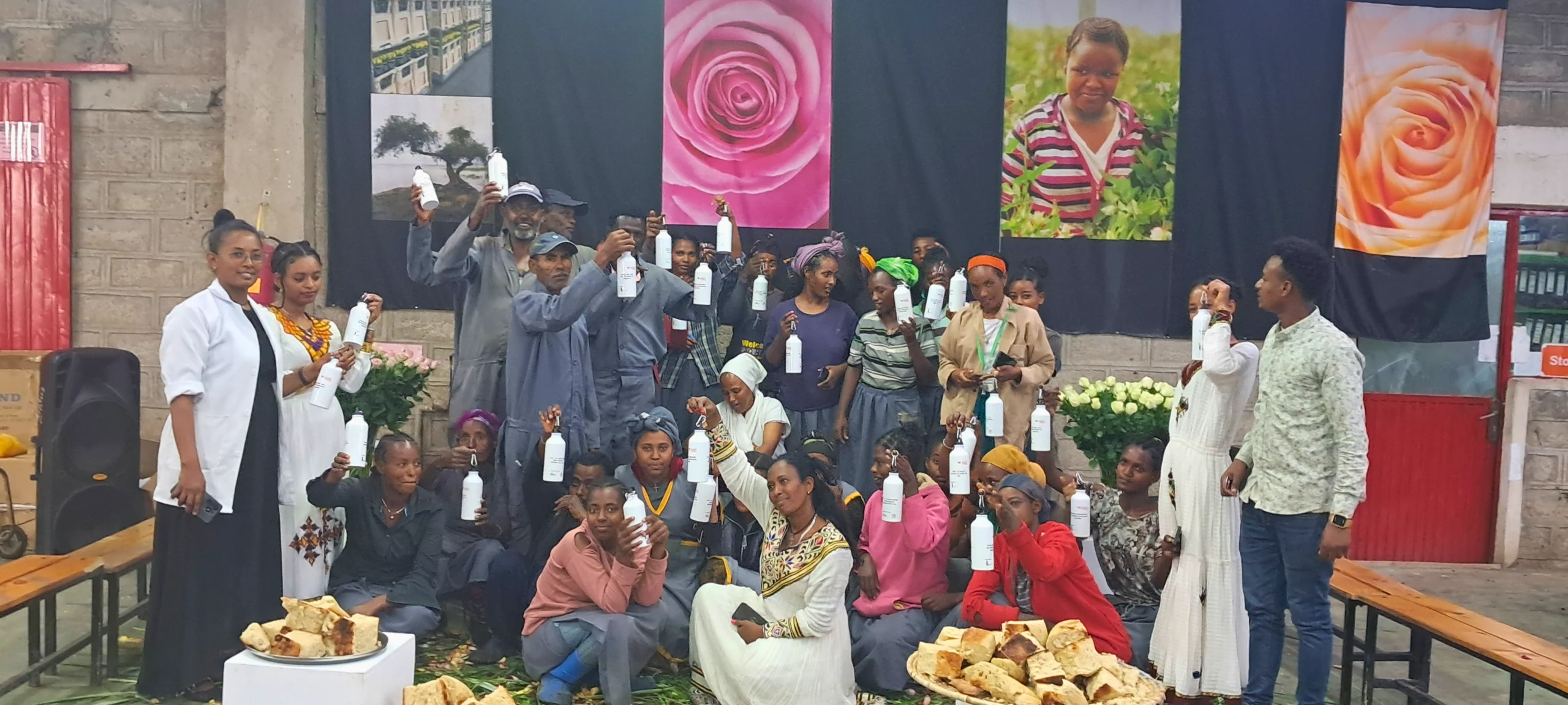 GAIN project Amflora